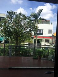 SELETAR HILLS DRIVE (D28), Terrace #456689761